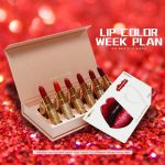 MYG High-end Lipstick Set A Makeup red Matte Lipstick