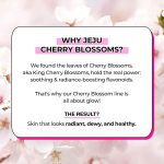 Innisfree – Jeju Cherry Blossom Jelly Cream - 50ml - Image 3
