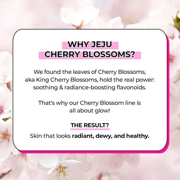 Innisfree – Jeju Cherry Blossom Jelly Cream - 50ml - Image 3