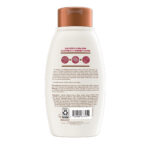 Aveeno Blackberry & Quinoa Blend Color Protect & Strengthen Shampoo 354ml - Image 2