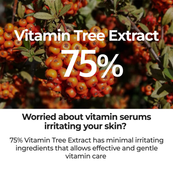 Numbuzin – No.5 Good Bye Blemish Serum 50ml - Image 4