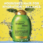 OGX Hydrating + Teatree Mint Shampoo, Sulfate Free, 385ml - Image 3