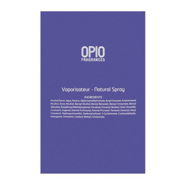 Opio Rebel Pour Homme Eau De Parfum 100ml - Image 2
